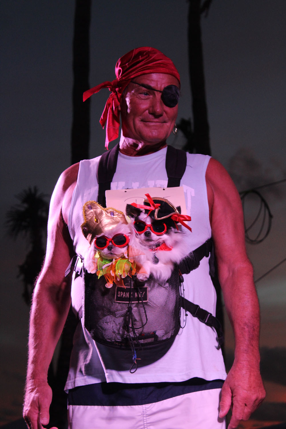 Pet Masquerade 2017 photo - Duval Street, Key West